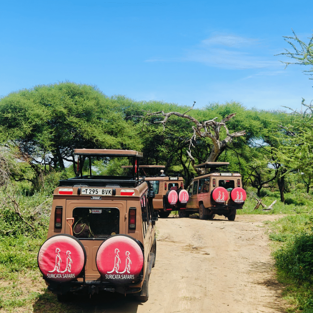 How long should you go on safari