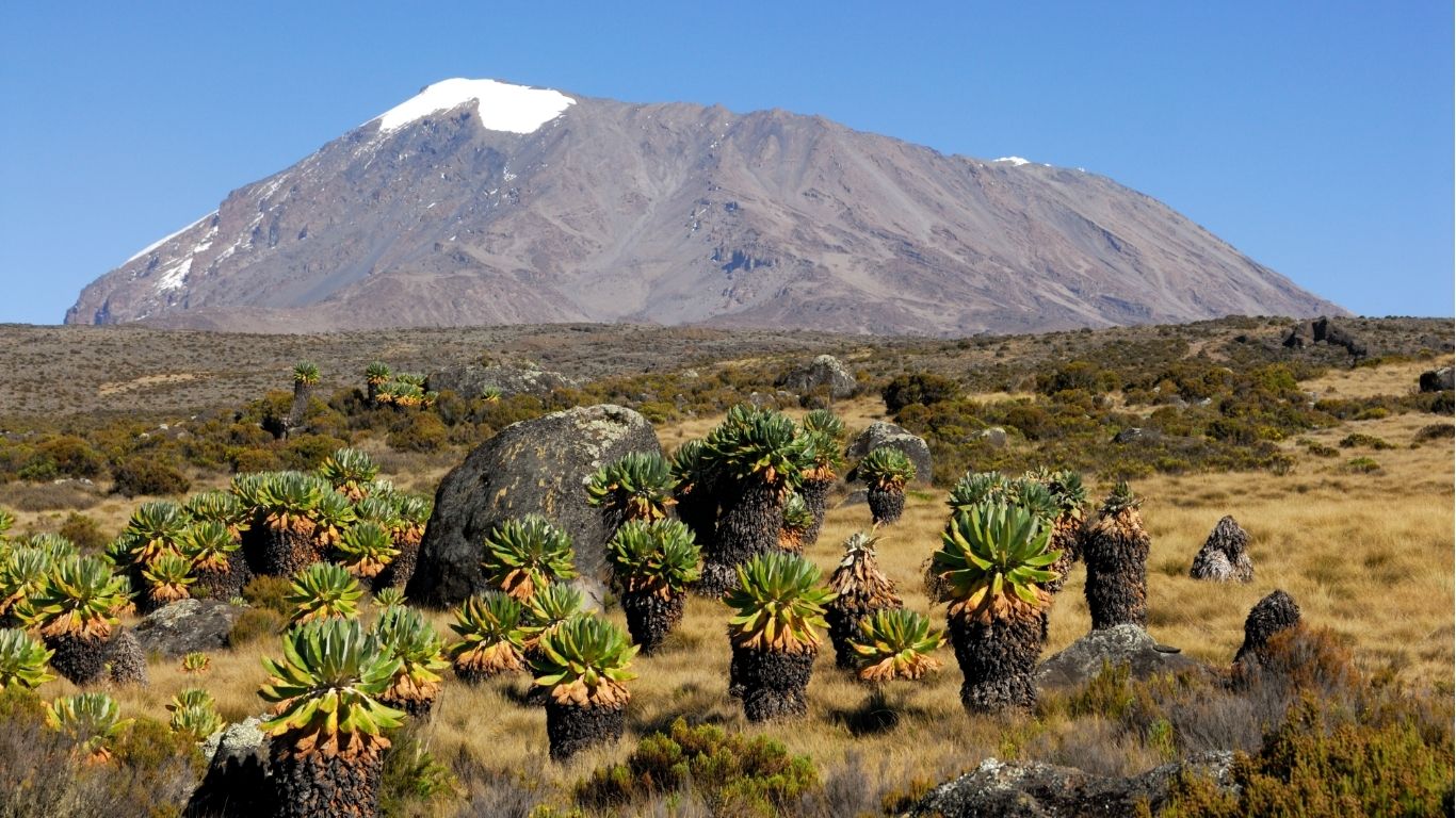 best day trips from Arusha