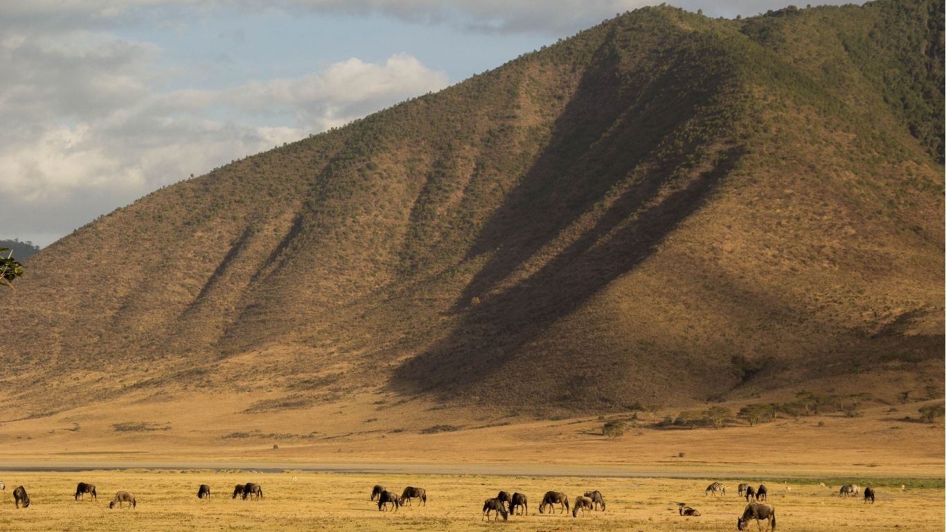 best day trips from Arusha