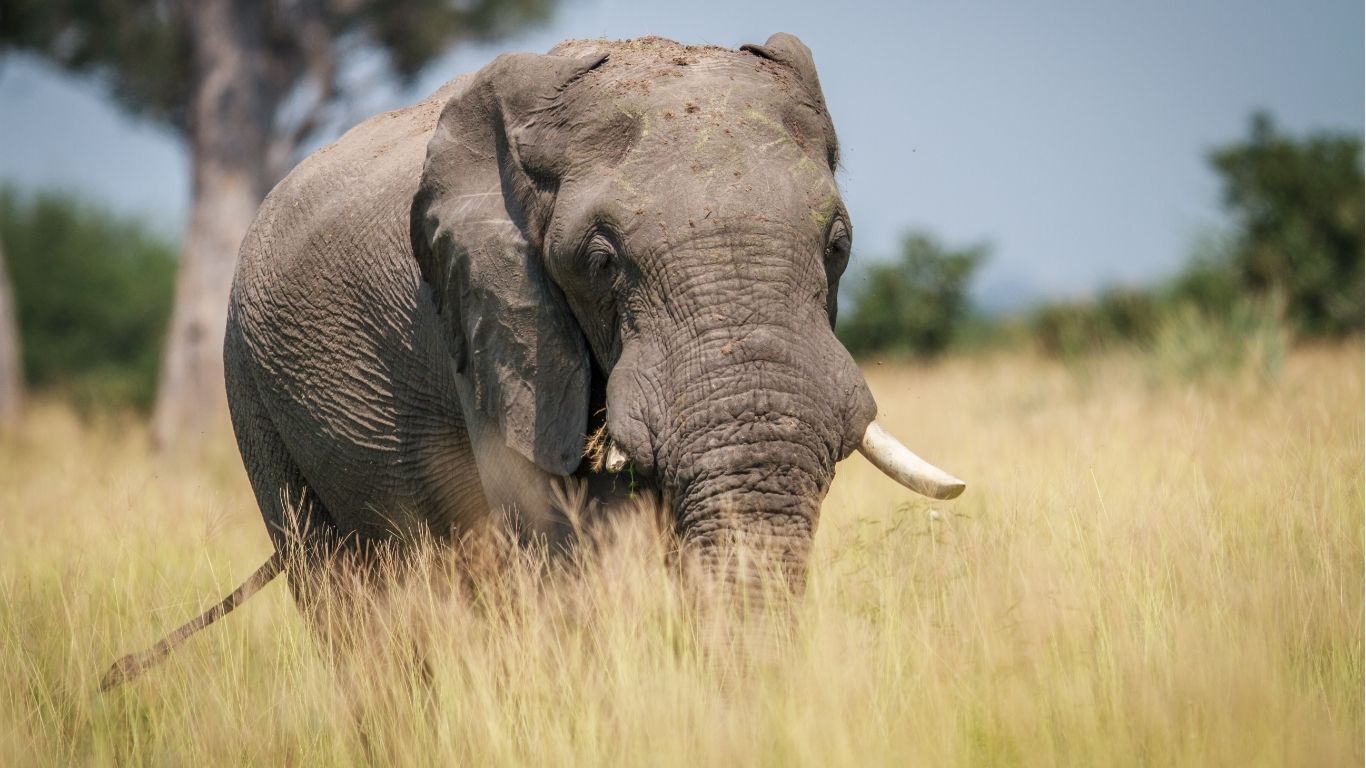 best day trips from Arusha