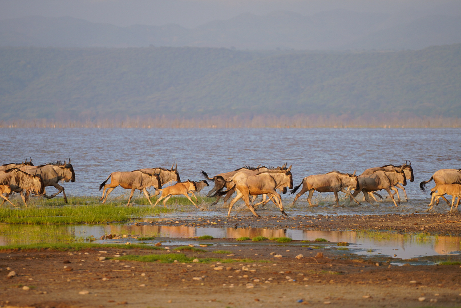 Tanzania Itinerary