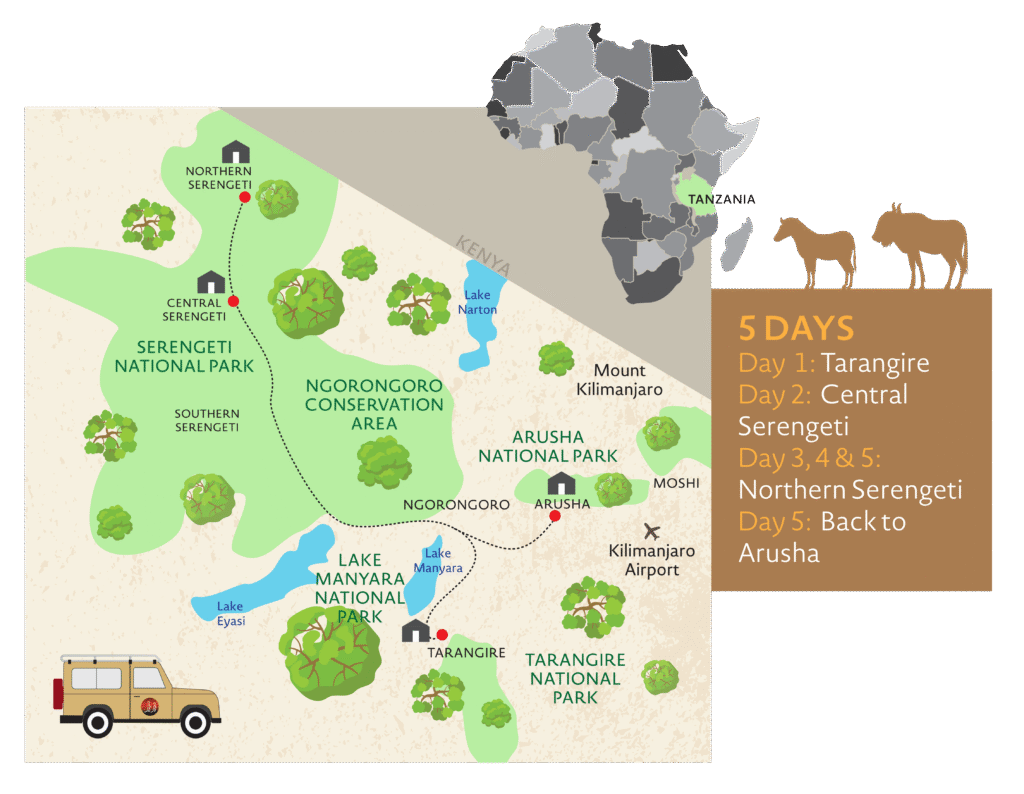 Great Migration Tanzania